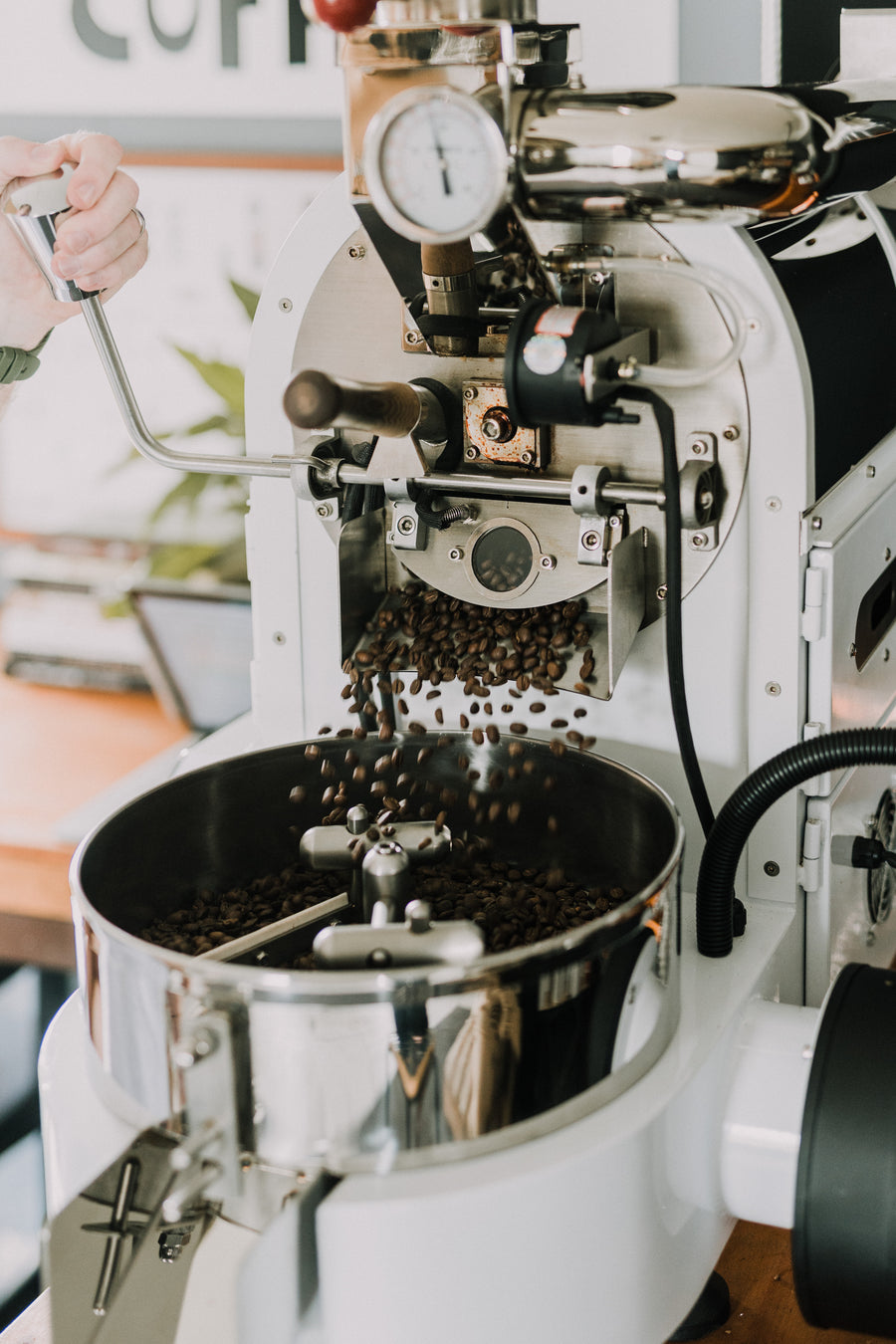 Wild Side Coffee